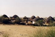 Siedlung in der Halbwüste Thar