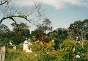 Friedhof der Mayaindianer