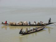 Schmale Boote auf dem Niger