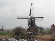 Windmühle an der Maas
