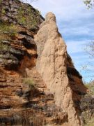 Termitenbau an einer Felswand