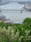 Budapest-Blick auf die Donau - im Hintergrund die Margareteninsel