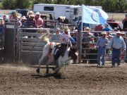 Rodeo in Lower Brule