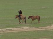 Mongolischer Reiter mit Ersatzpferd