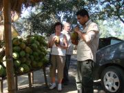 Reiseleiter spendiert eine Runde Kokosnüsse
