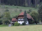 alte Bauerngehöfte im Kinzigtal (Schwarzwald)