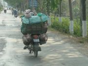 Mopedfahrer mit Ferkel