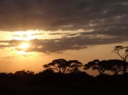 Sonnenuntergang im NP Amboseli