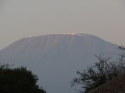 Kilimandscharo beim Sonnenuntergang