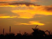 Sonnenuntergang im Kalbari - NP