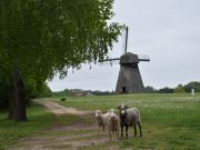 Rumiskies - alte Windmühle