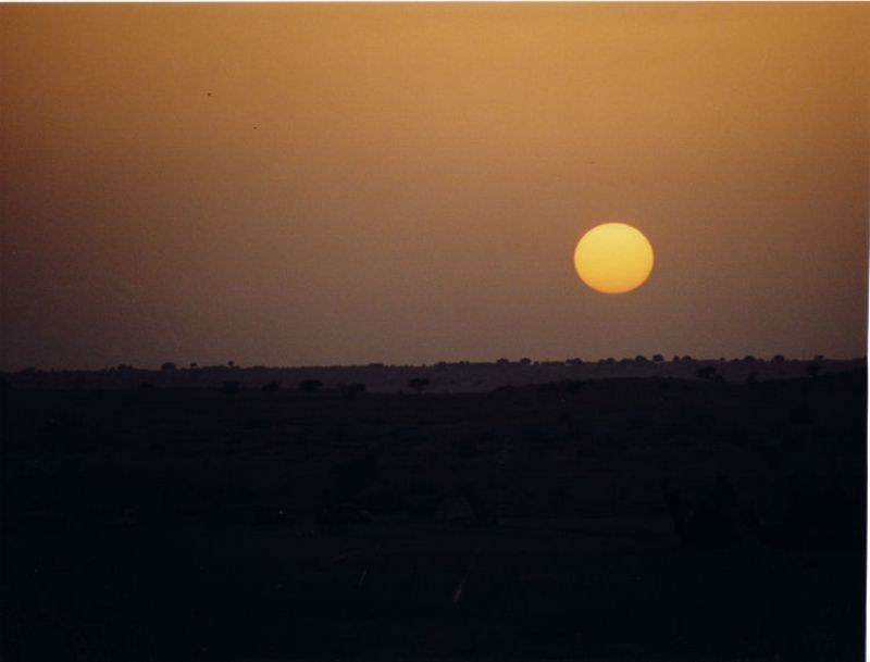 Sonnenuntergang in der Wüste Thar