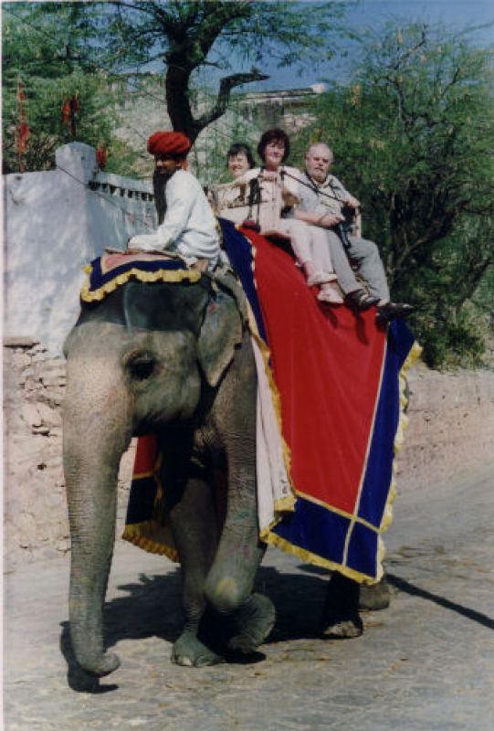 Mit dem Elefanten auf die Festung Amber