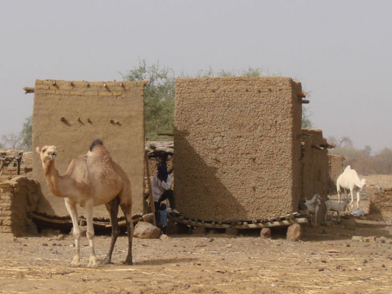 Viereckige Speicher in einem Dogon-Dorf