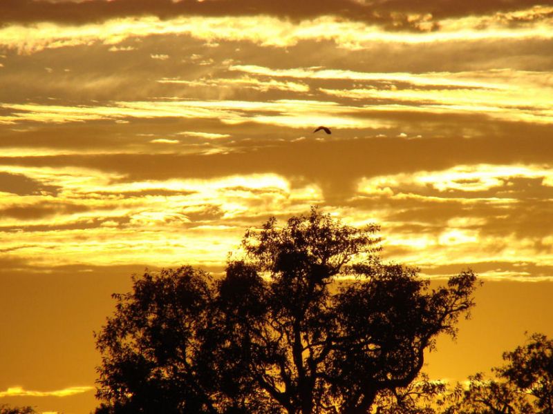 Sonnenaufgang - Yellow Waters