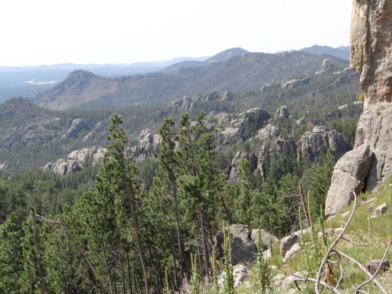 Blick in die "Black Hills", die Heiligen Berge der Indianer