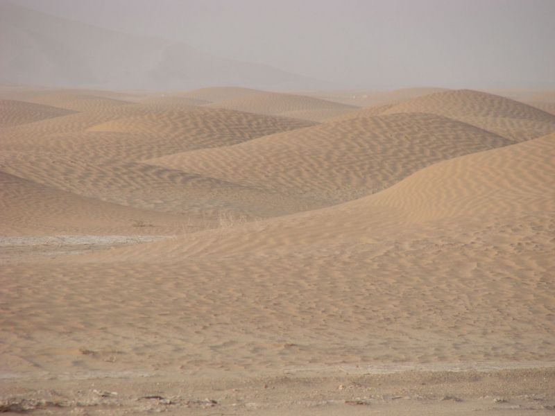 Dünenlandschaft in der größten Sandwüste der Erde