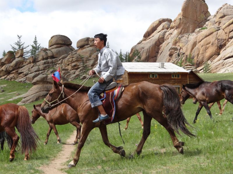 Mongolischer Pferdehirt