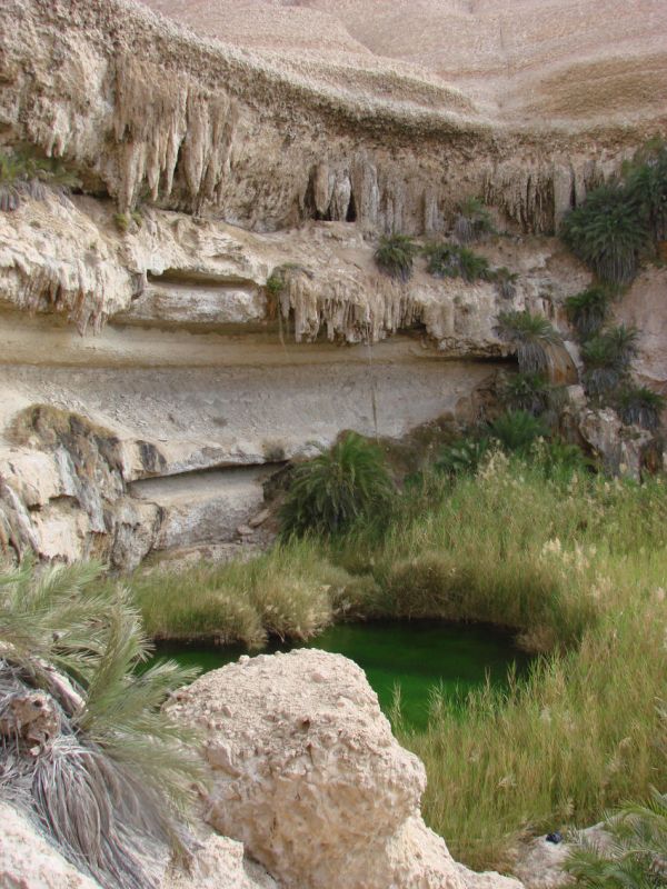 Quelle im Wadi Shawaymieyah