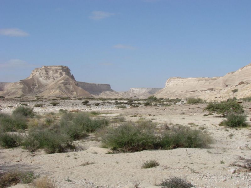 Wadi Shawaymieyah