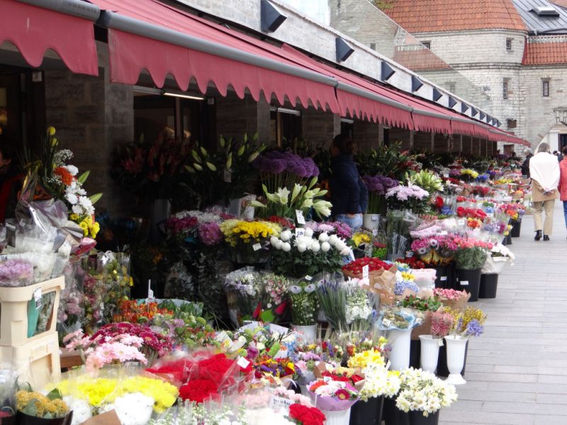 Blumenmarkt in Tallin