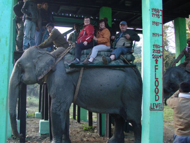Safari auf Elefanten