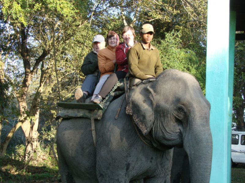 Elefantensaafari im Kaziranga N.P.