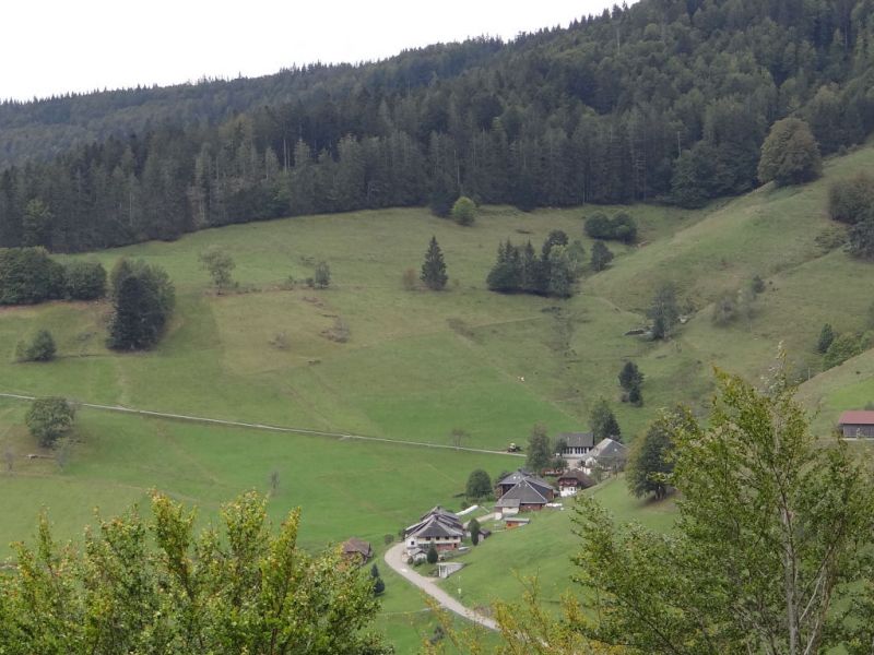 Hinterdorf:Dorf im Schwarzwald
