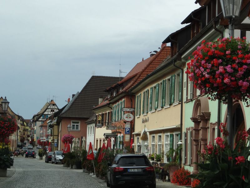 Endingen(Breisgau)