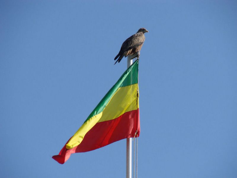 Äthiopische Flagge mit Gabelweihe