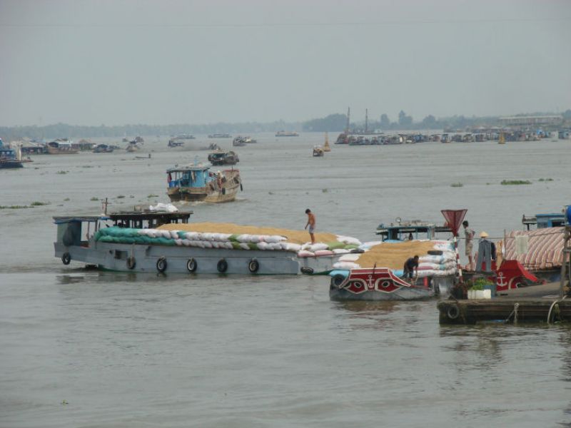 Bootstour von Can Tho zu den schwimmenden Märkten