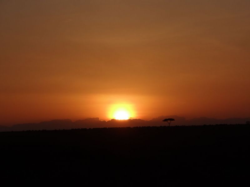 Sonnenaufgang im Massai-Mara-Np