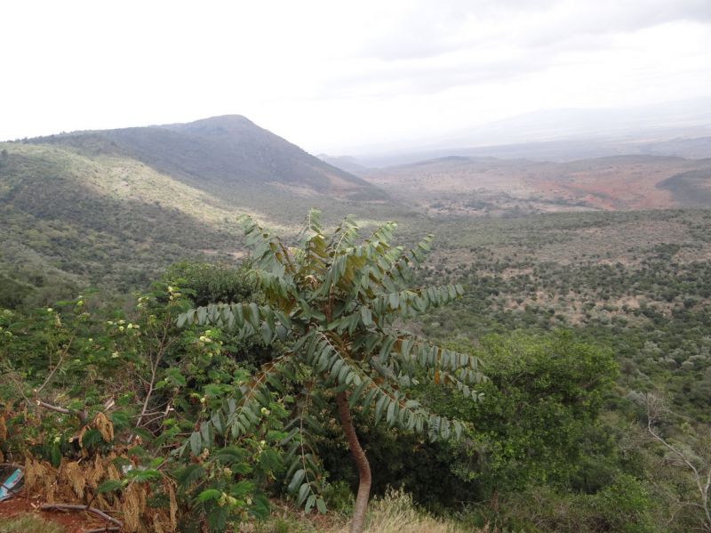Blick in das Great Rift Valley