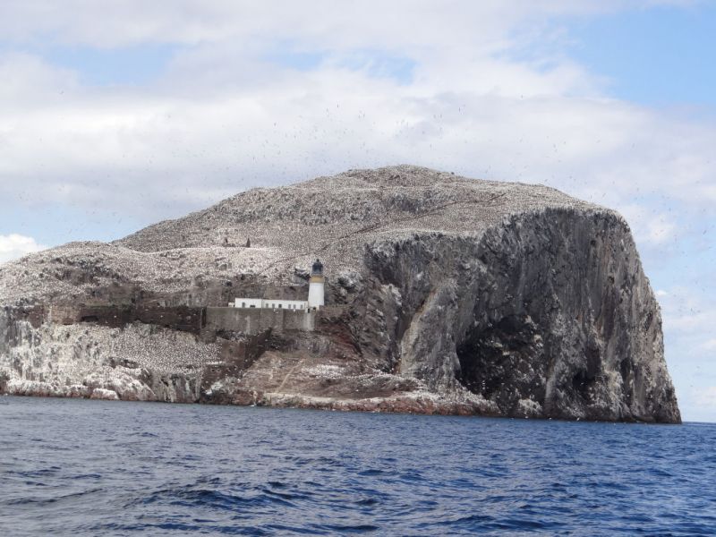 Ehemalige Gefängnisinsel Bass Rock mit 400000 Seevögeln