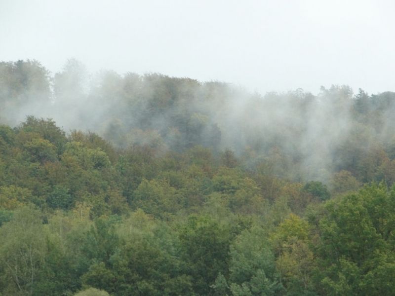 bei Bad Hersfeld - Nebel über dem Herbstwald