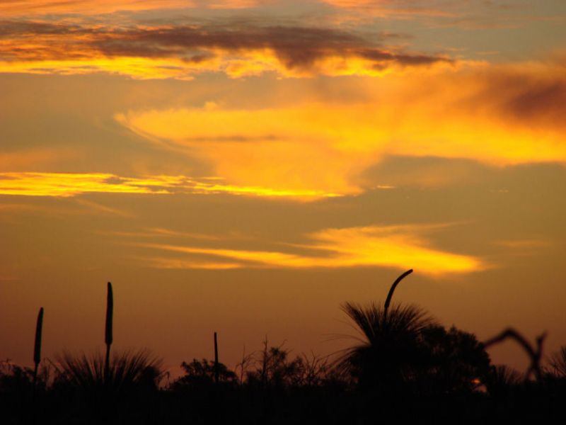 Sonnenuntergang im Kalbari - NP